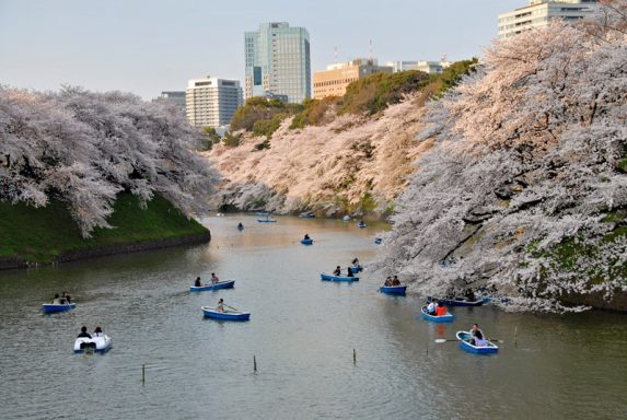 Tokyo-Impressionen von Petra Wels