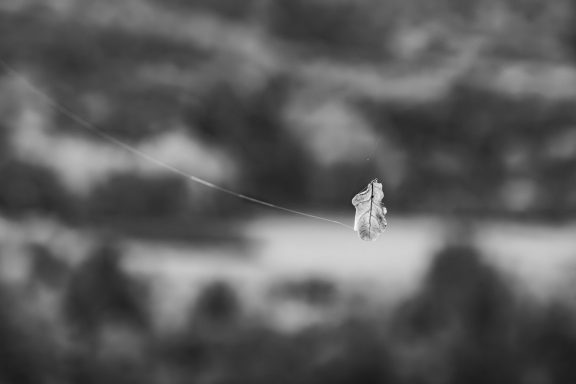 Johann Semmler - Happurber Stausee